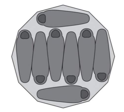 The North Face 2-Meter Dome floor plan.