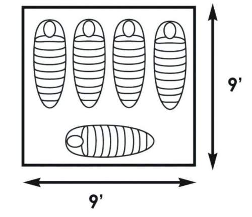 The floor plan and the dimensions.