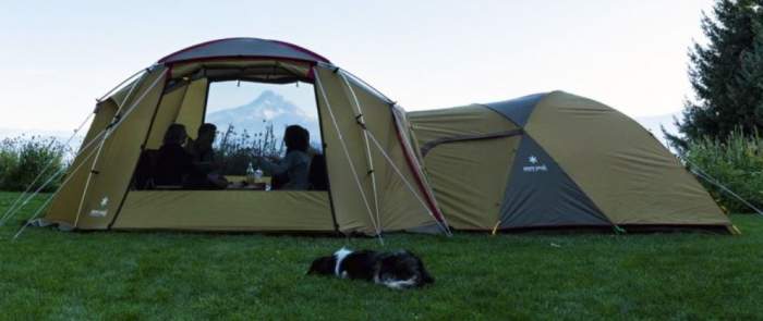 The Mesh Shelter on the left and Amenity Dome M on the right, directly connected.