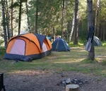 Is It Good to Set Up a Tent Under a Tree if It Rains featured picture.